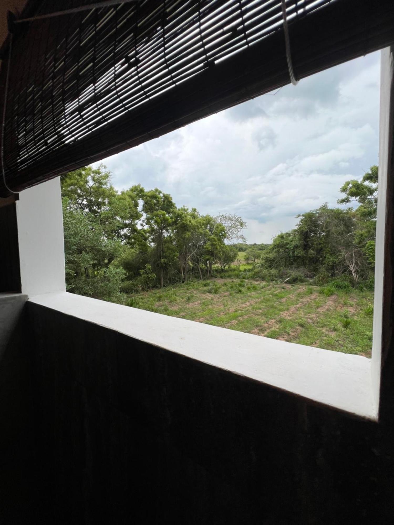 Tembo Cottage วิลปัตตู ภายนอก รูปภาพ